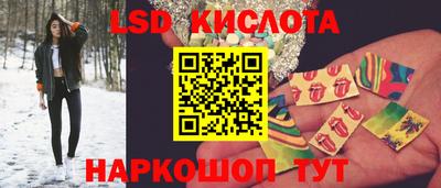 стаф Кингисепп