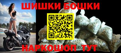 стаф Кингисепп