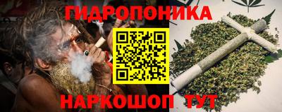 стаф Кингисепп