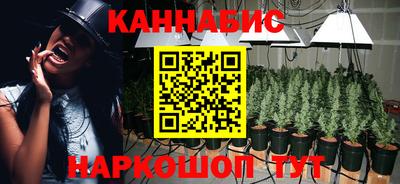 стаф Кингисепп