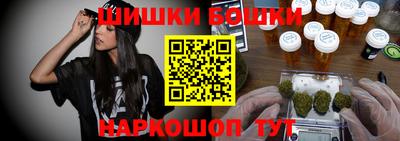 стаф Кингисепп