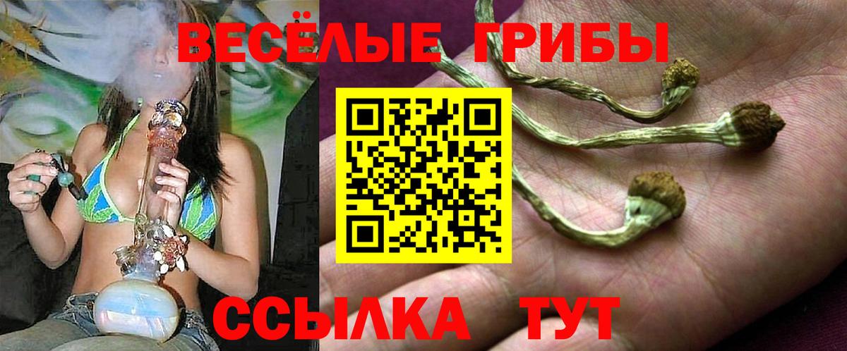 Галлюциногенные грибы мухоморы Кстово