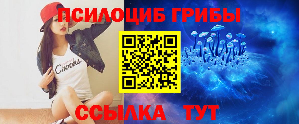 продажа наркотиков  Псилоцибиновые грибы прущие грибы  Вход с VPN  Кстово 